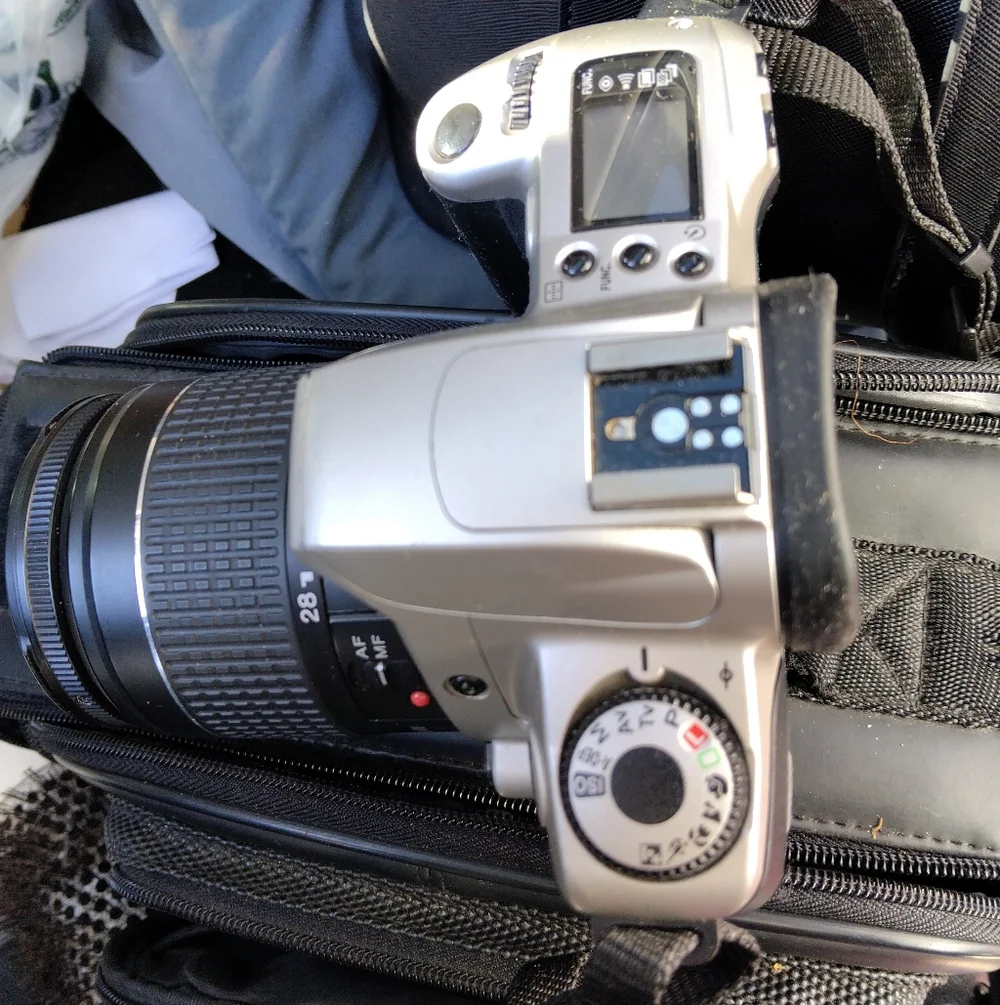 Canon Black and Silver Lens Camera